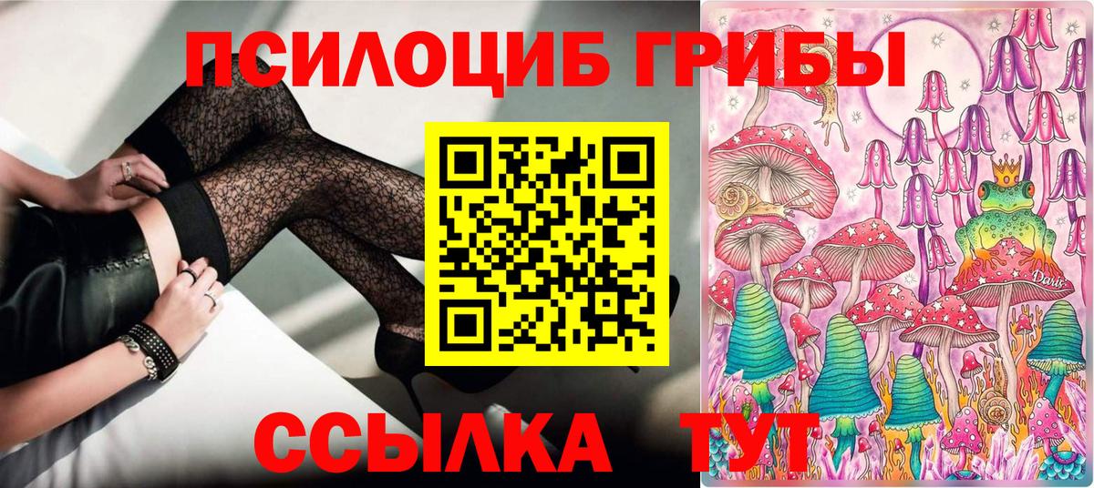 Галлюциногенные грибы Cubensis Ликино-Дулёво