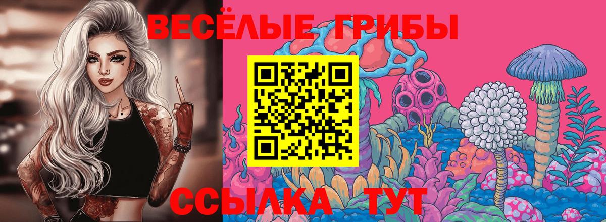 Ликино-Дулёво  Галлюциногенные грибы мицелий  наркота  Вход с VPN 